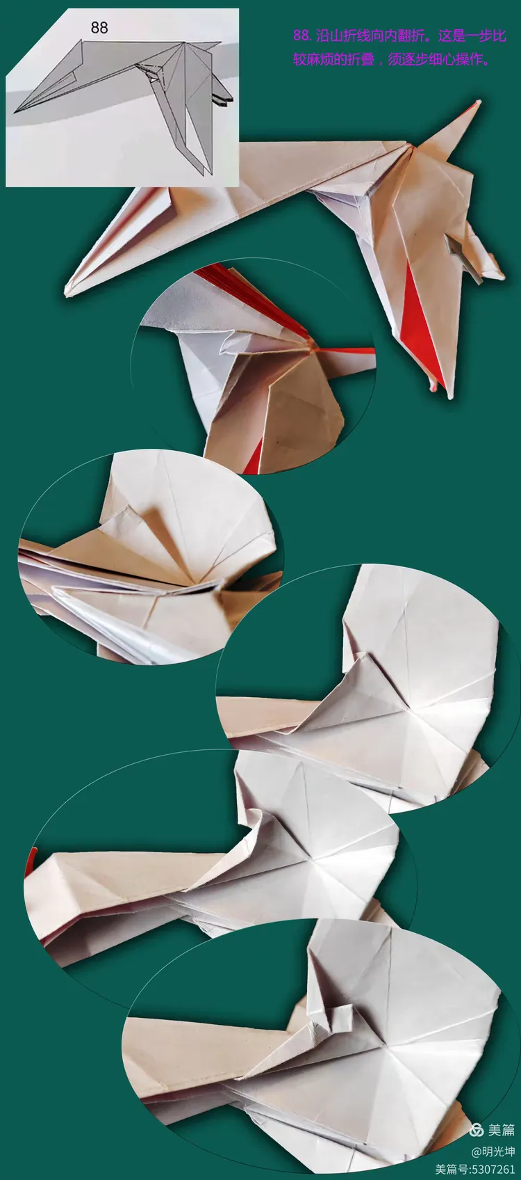 风神翼龙折纸详细图解